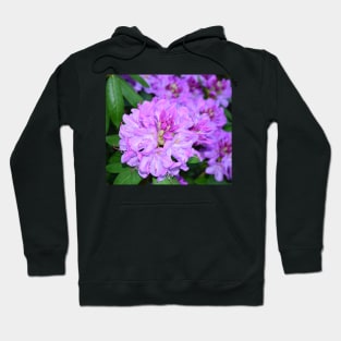 Rhododendron flower photo Hoodie